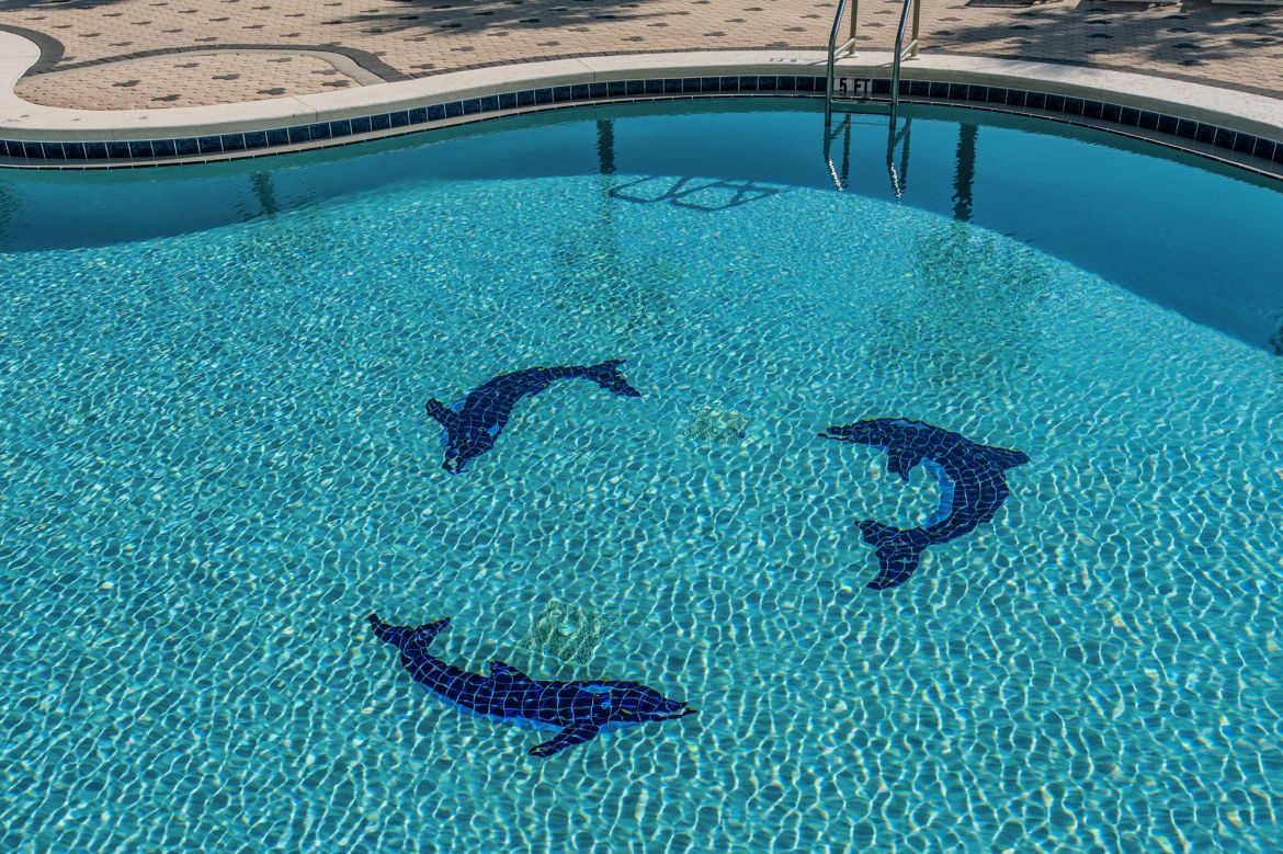 Emerald Dolphin 20121121 060
